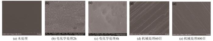 图13   不同表面的SEM图像.jpg